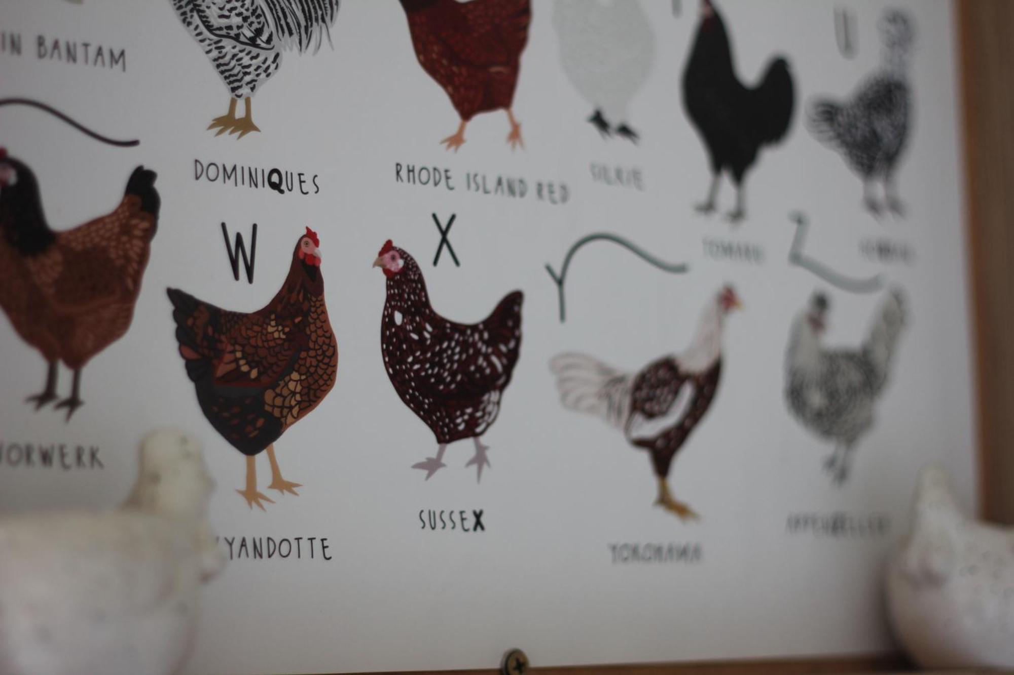 Bryn Glas Farm Stay Moruya Zewnętrze zdjęcie