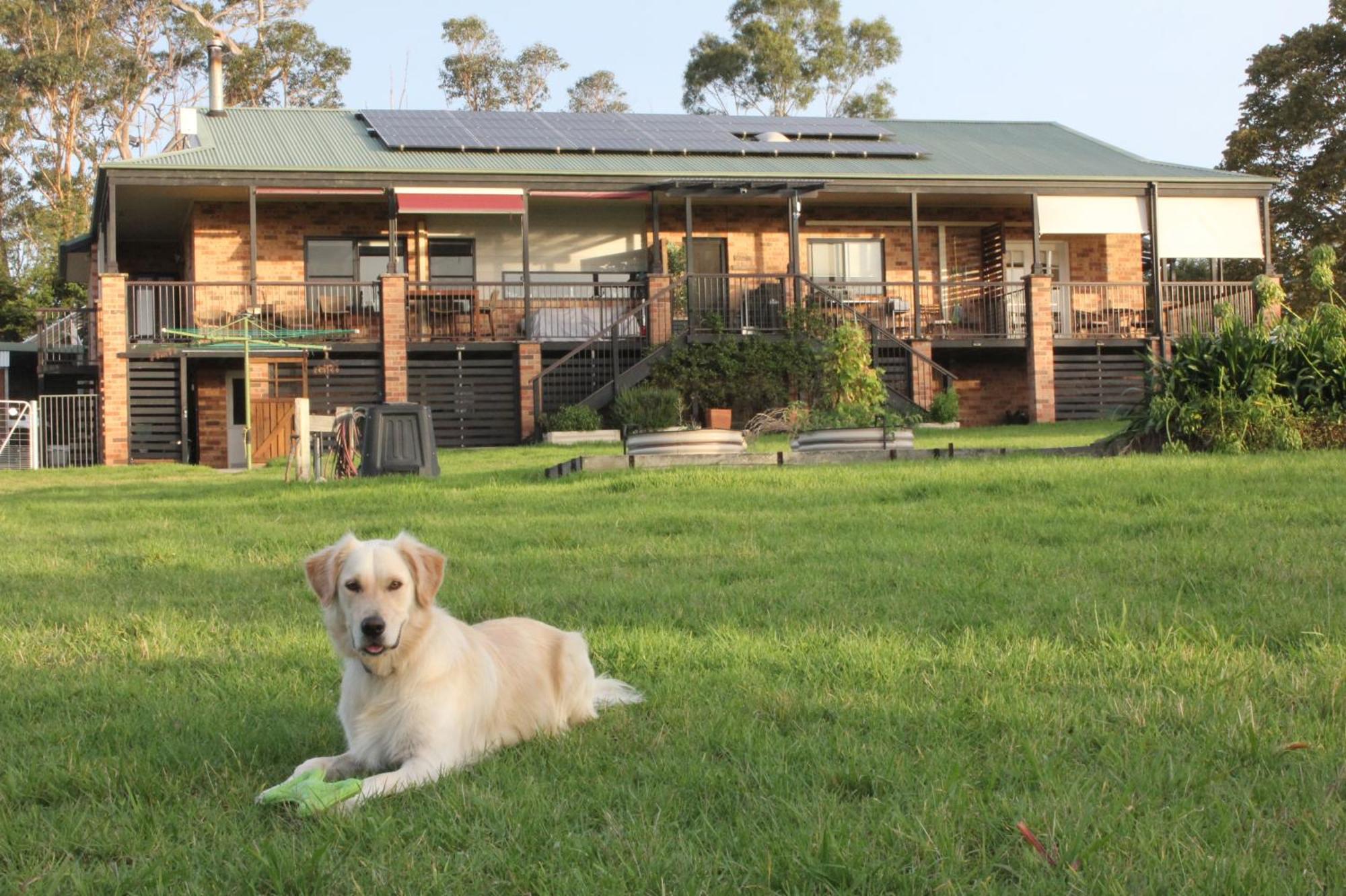 Bryn Glas Farm Stay Moruya Zewnętrze zdjęcie