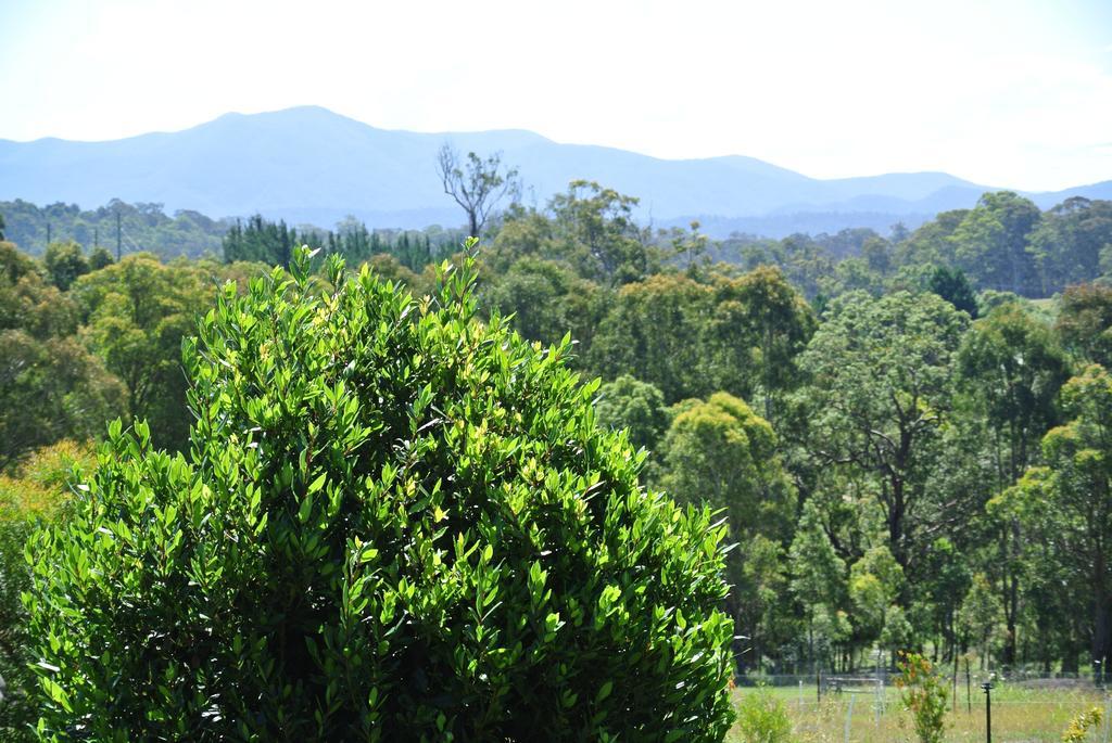 Bryn Glas Farm Stay Moruya Zewnętrze zdjęcie