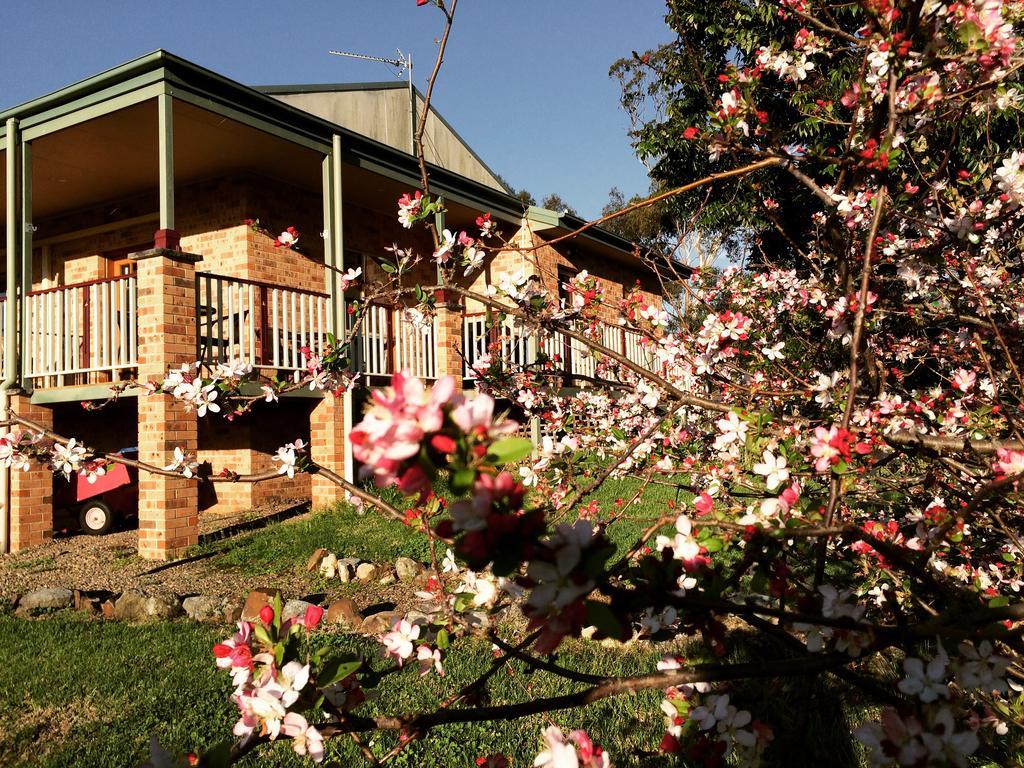 Bryn Glas Farm Stay Moruya Zewnętrze zdjęcie