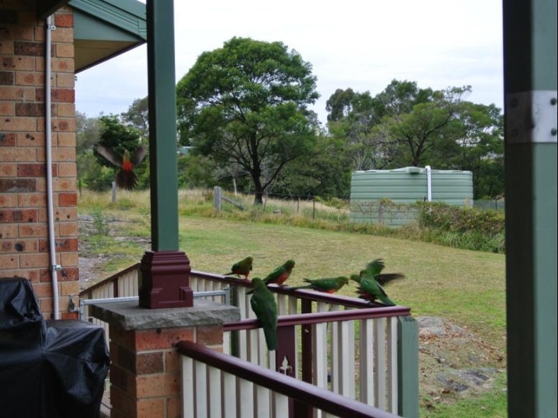 Bryn Glas Farm Stay Moruya Zewnętrze zdjęcie
