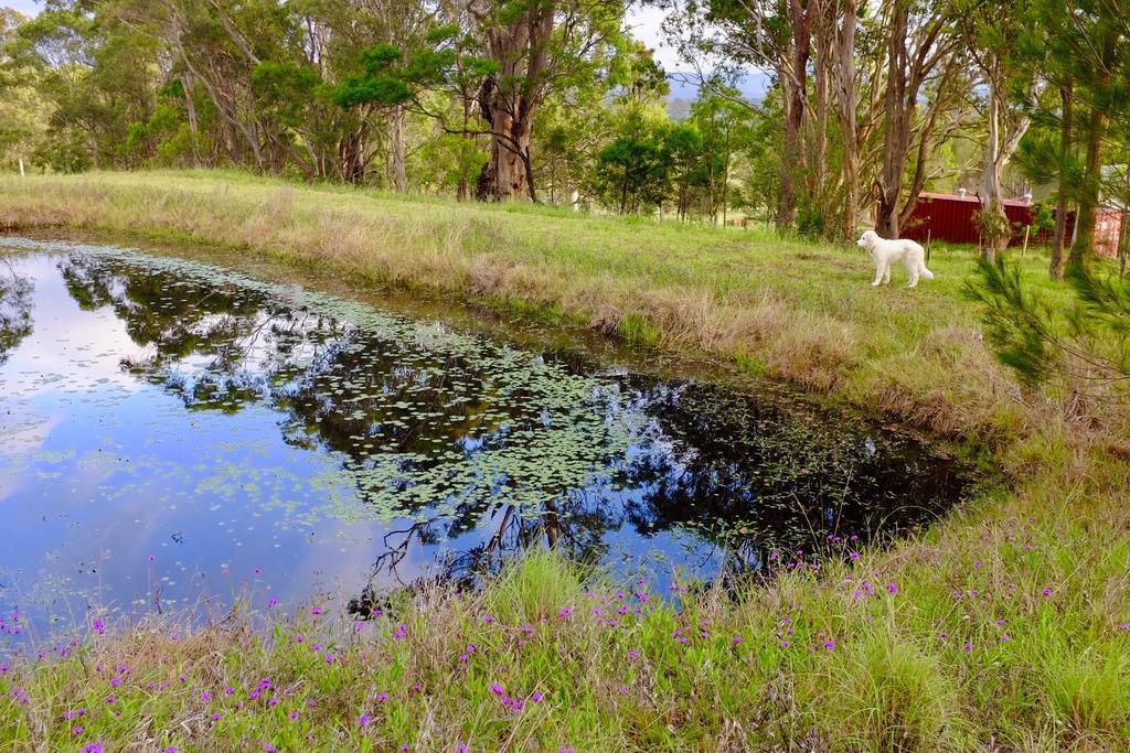 Bryn Glas Farm Stay Moruya Zewnętrze zdjęcie
