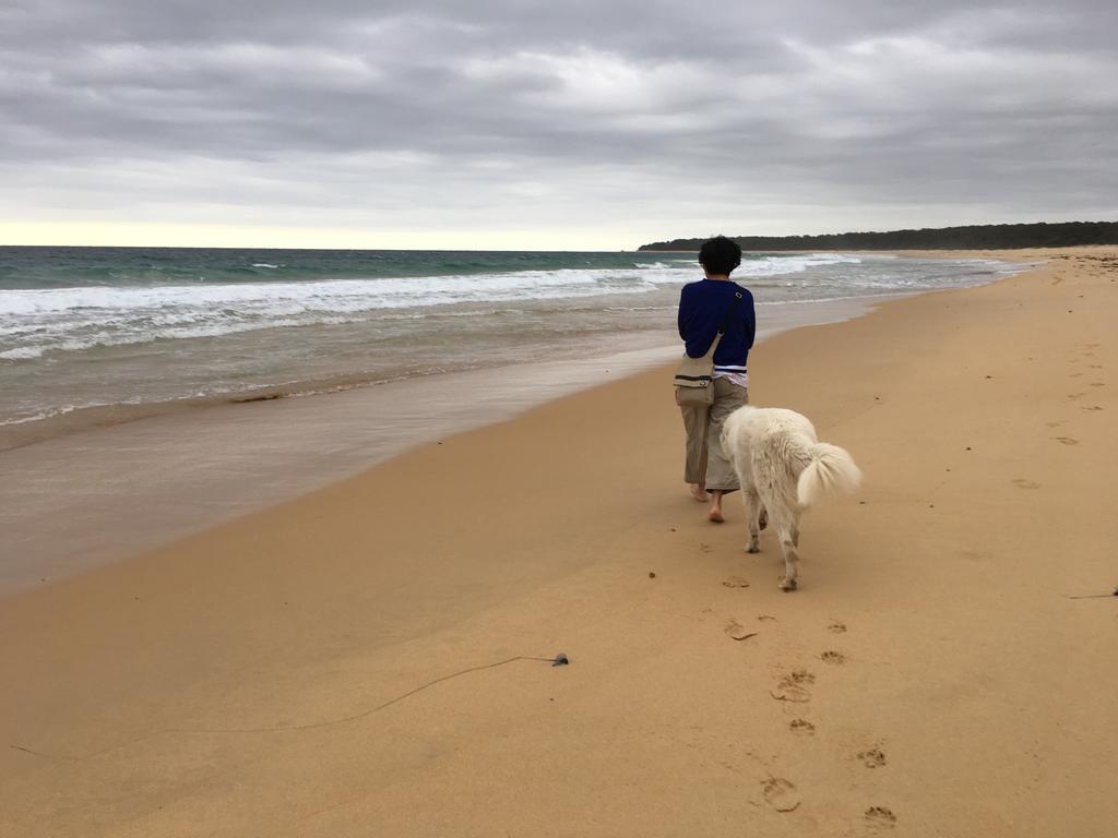 Bryn Glas Farm Stay Moruya Zewnętrze zdjęcie