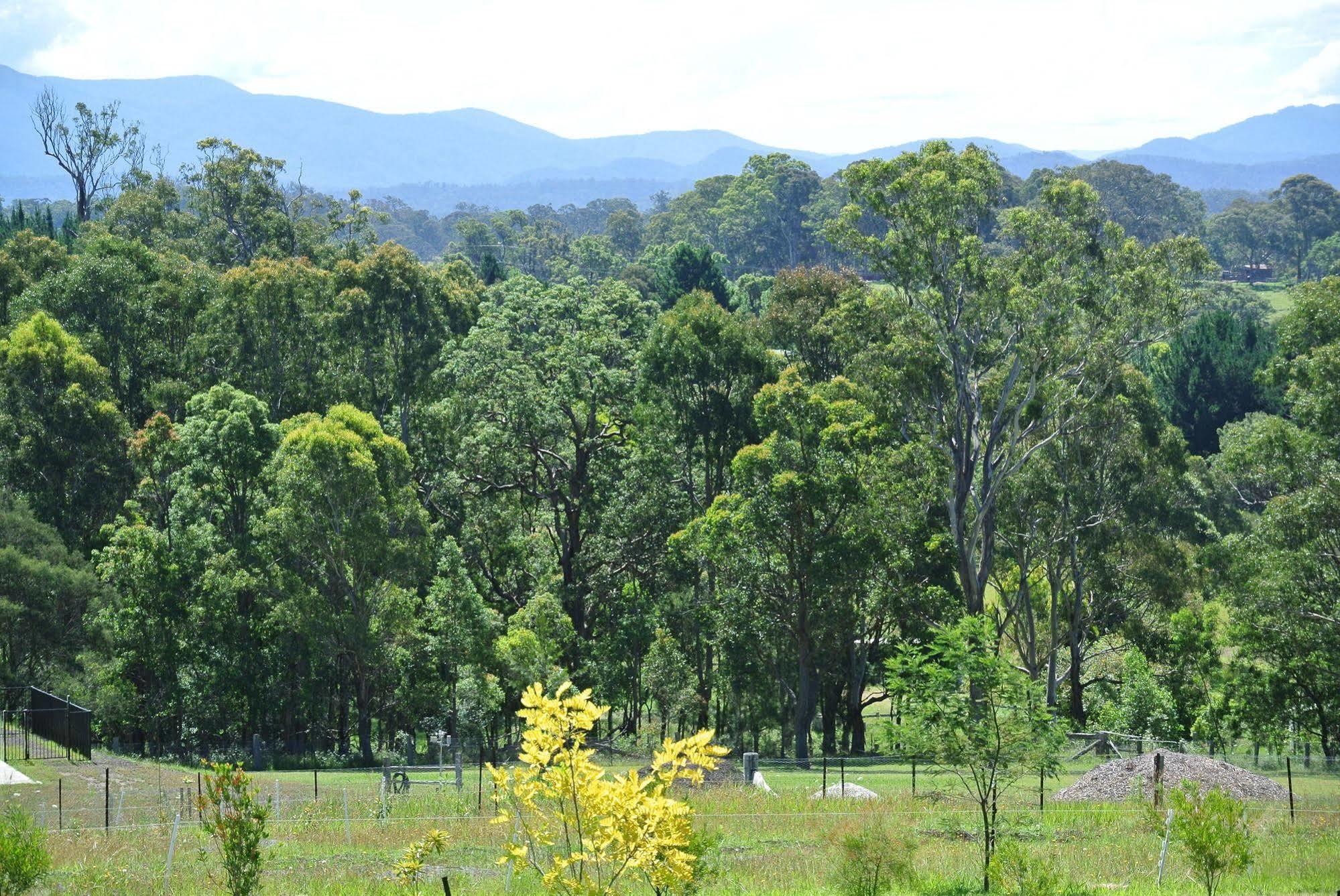 Bryn Glas Farm Stay Moruya Zewnętrze zdjęcie