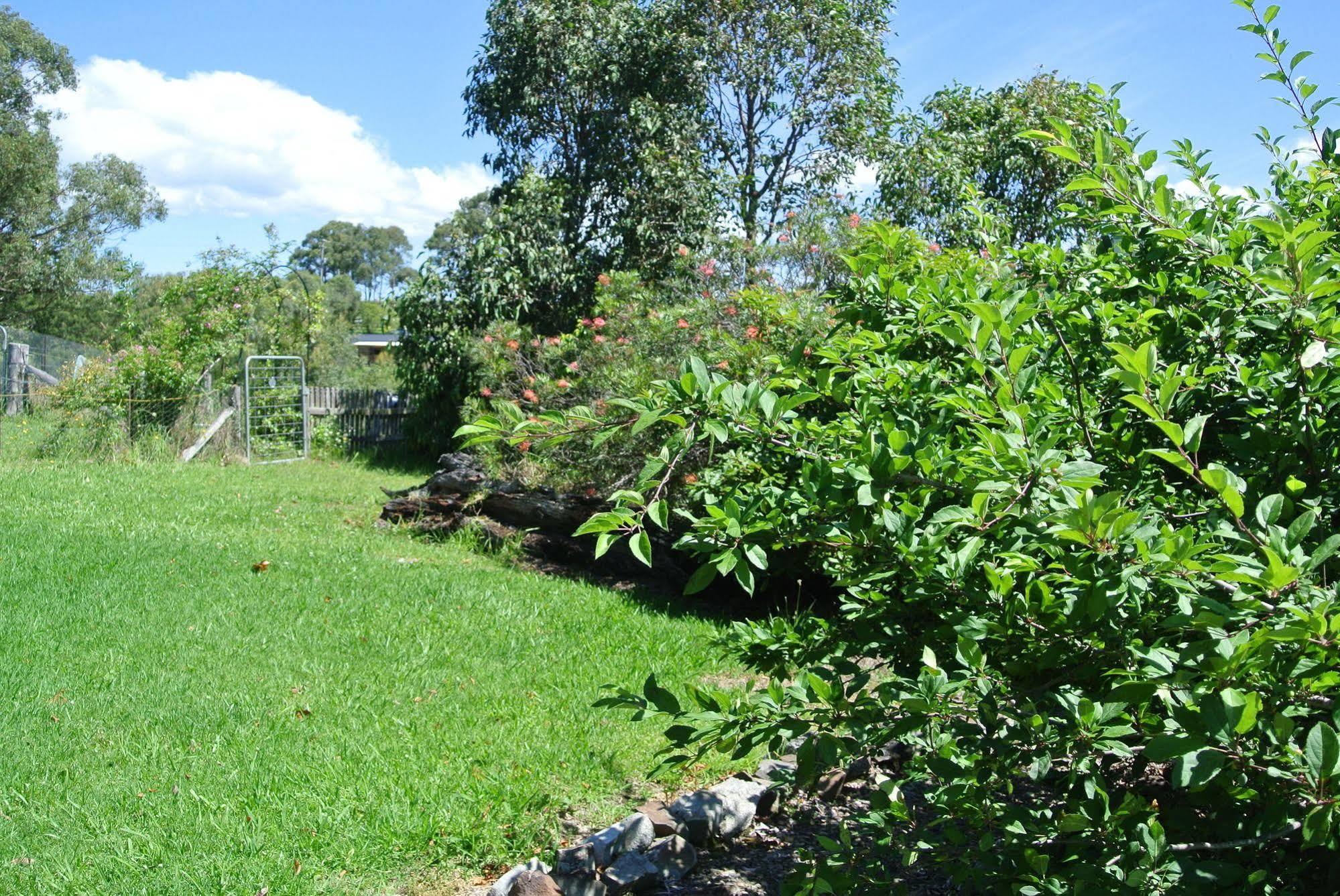 Bryn Glas Farm Stay Moruya Zewnętrze zdjęcie
