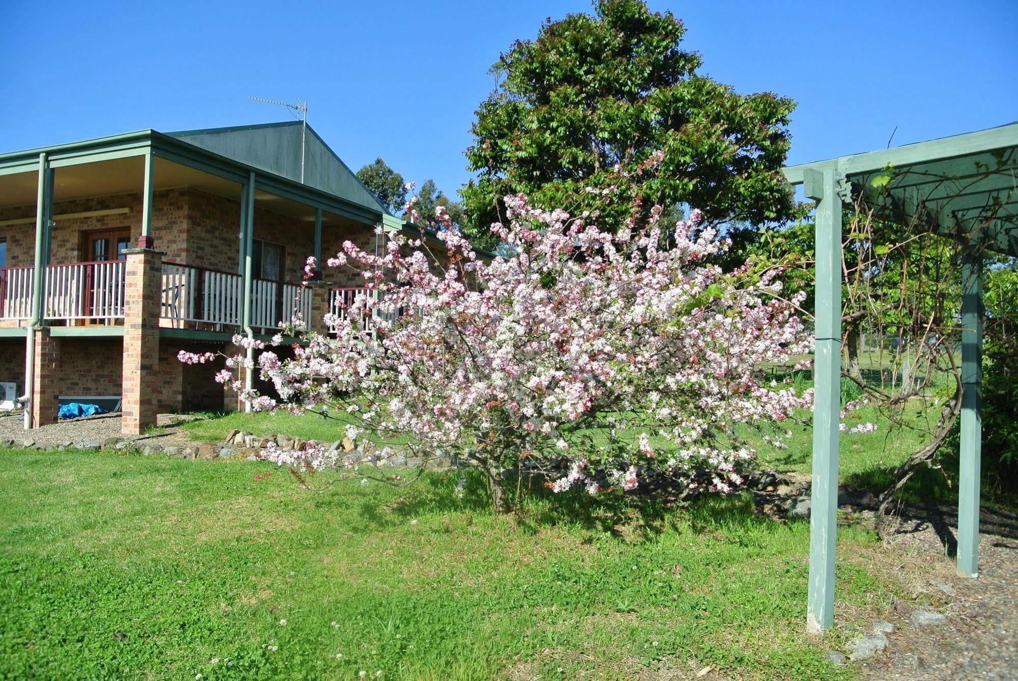 Bryn Glas Farm Stay Moruya Zewnętrze zdjęcie