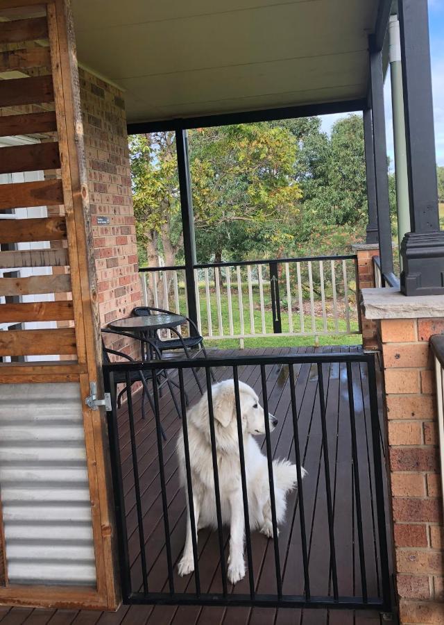 Bryn Glas Farm Stay Moruya Zewnętrze zdjęcie